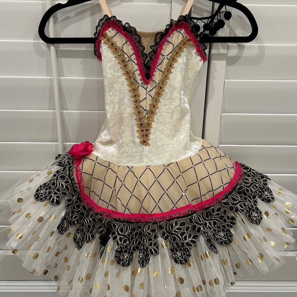 Black, gold and pink ballet tutu